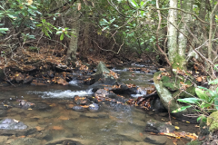 Stream